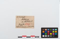 Etikett zu Eisenklappmesser (NHMW-PRAE-024443)